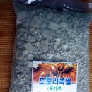 도토리농장 이미지