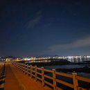 도란도란동물병원 | EP.12 R - CHOP 치료 후기 (11)