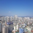 휴먼마트 이미지