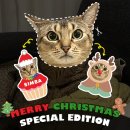 심바는 크리스마스 이미지