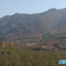 밀양 남명리 얼음골[ Eoreumgol Ice Valley in Nammyeong-ri, Miryang , 密陽 南明里 얼음골 ]경상남 이미지