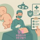 농산물 품질 관리사 양성과정(30세이상) | 신생아 딤플, 척수 이형성증 수술 보험청구와 필요서류 총정리 (Spinal dysraphism, occult)