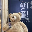 슈퍼붕