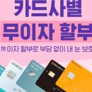 강남푸른안과