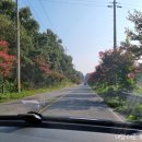 아드리아모텔 이미지