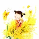 임회7호 Daum카페