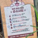 피읖Cafe(피읖카페)