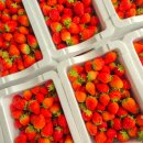 충효농장 이미지