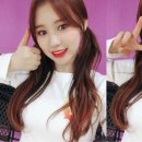 (주)엘티즌 이미지