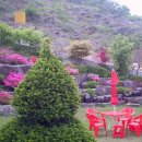 나루터 펜션 이미지