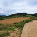 박달4리 이미지