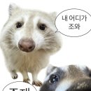 원도안로-2 이미지