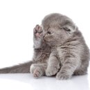 우리그루밍 이미지