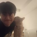 선재공덕회 이미지