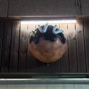 동글 타코야끼 | [화성] 봉담2지구맛집 /동글 타코야끼 N번째 방문한 후기