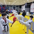 하나린태권도장 이미지