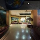 서대문자연사박물관 이미지