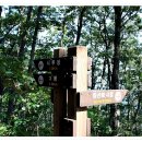 주문진항20 이미지