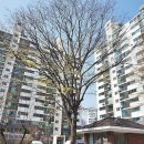 우성부동산공인중개사사무소 이미지