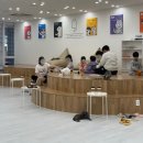 캣플 | 인천 서구 고양이 카페 캣플 루원시티 인천점 방문 후기
