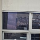 임회택시(조규술) | 2024-35