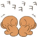 초이옷장 이미지
