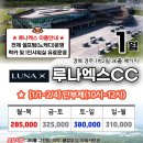 루나엑스 이미지