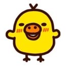 요치요치 이미지