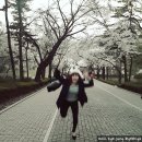 마르지아 *커플&amp;가족 데이트 장소 추천 : 벚꽃구경은 볼거리 놀거리가 넘치는 어린이 대공원에서!!!