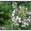 진흥건설주식회사 이미지