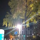 노원역지구대 이미지