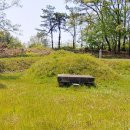 숙의나주나씨 묘역 및 묘비 이미지