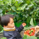 경석농장 이미지