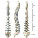 이지짐(EZGYM) 이미지