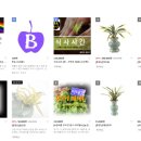 가나안 테크 이미지