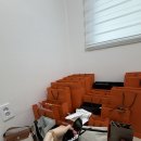 샤넬하우스 | 샤넬 선글라스 구매 추천 후기