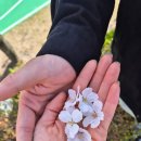미래메디칼 | 고양점집 천지약산도사문도령 전화신점 후기, 답답했던 마음에 방향을 찾다