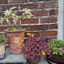 그림정원 이미지