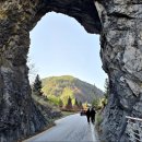 용천목장 이미지