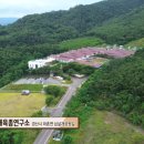 경산의 삽살개육종연구소 이미지