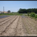 장혁농장 이미지