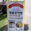명품문어빵 이미지