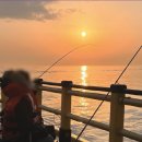 조도어촌체험휴양마을 이미지