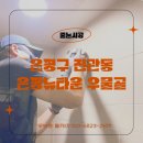 뉴타운 | 은평구 은평뉴타운 줄눈시공 후기 | 셀프 줄눈 실패 후 2일 만에 케라폭시로 완벽 복구