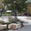 가든수목정 이미지