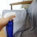 박리당구장 | 주니펫 반려동물 탈취제 닥터프레쉬 후기