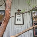돈부자 | 웨이팅임에도 불구하고 파주이색식당 상지석동맛집 돌짜장 후기