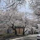 성류길 빵 이미지