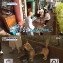 김숙농장 이미지