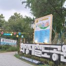 5060 어반스케치(야간) | 🍺 여름밤 세계맥주•수제맥주 [2025 노원수제맥주축제] 후기🍺